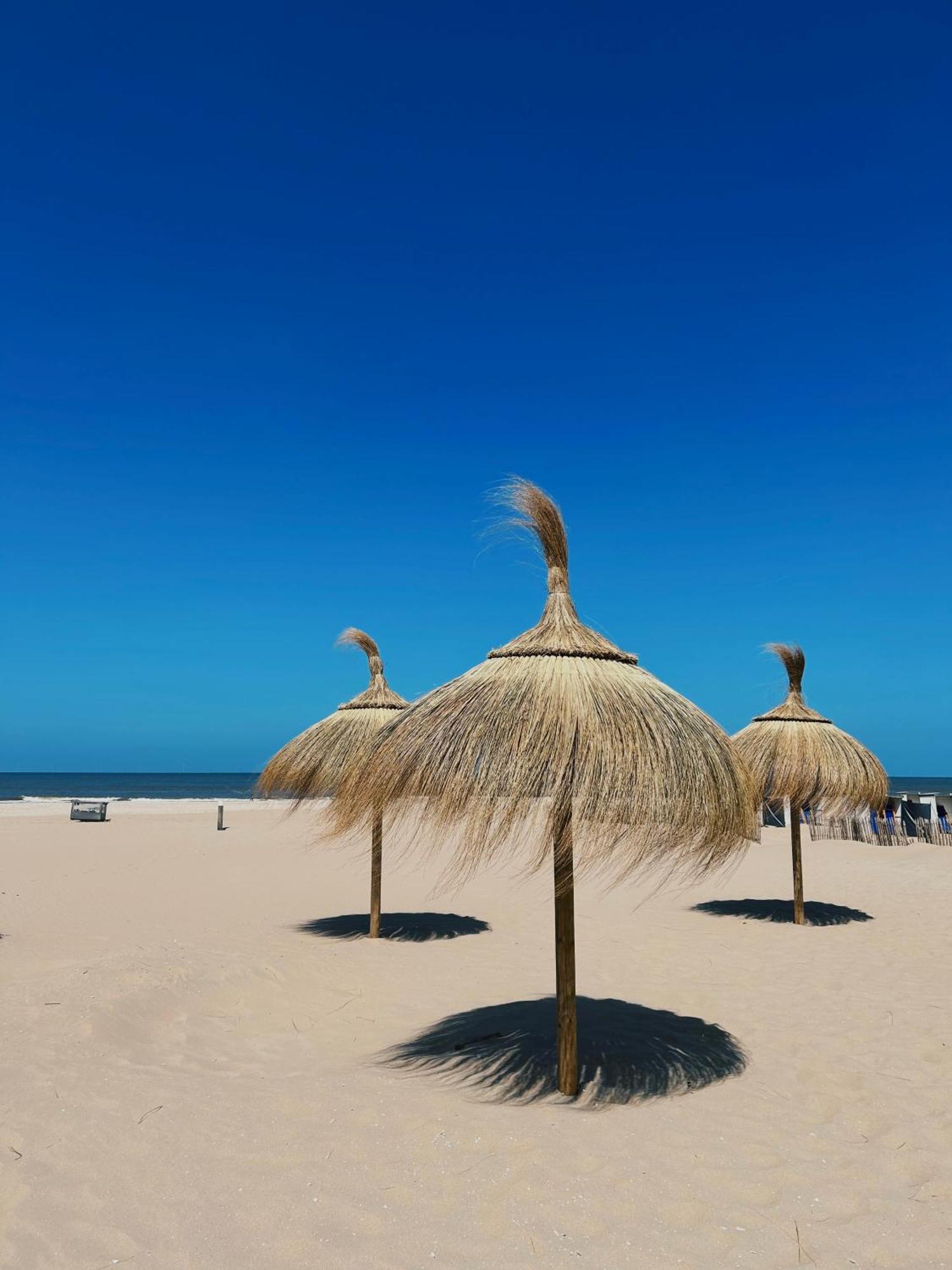 Sisters Beachbungalows Katwijk aan Zee Eksteriør billede